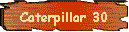 Caterpillar 30