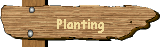 Planting