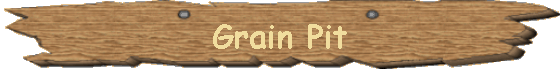 Grain Pit
